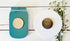 Back of Farmhouse Whimsy Firefly and Moon magnet set showing colorful firefly and moon designs on metal magnets.