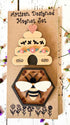 Farmhouse Whimsy bee and hive magnet set featuring colorful, detailed bee and hive magnets on a white background.